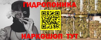 шишки Конаково